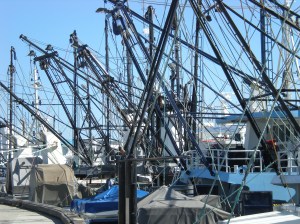 A few boats $$$$$$$$$$$$$