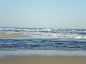 The tannin-stained waters of the Warren River feeding into the ocean