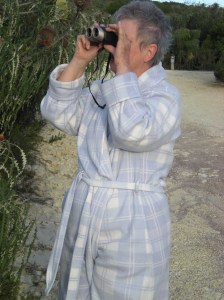 Early morning whale watching