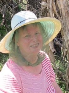 Hot - but the flies obviously don't mind