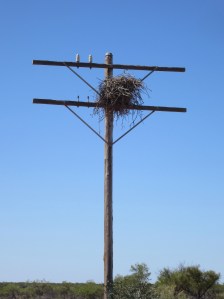 Housing options are limited in the desert